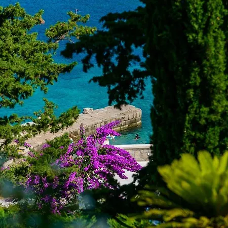 Vila Luxury Seafront Queen With Private Pool Near The Sea In Dubrovnik